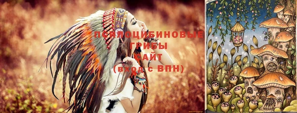 амф Вяземский