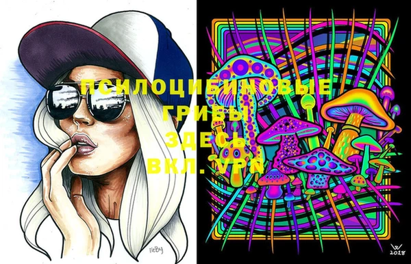 амф Вяземский