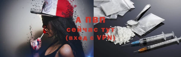 стаф Волоколамск